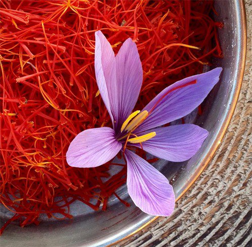 saffron spices in India
